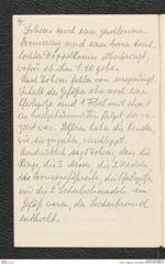Seite 6, Tagebuch "Groß-Mugl" (NHMW-PRAE-BBB-54)